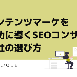 points-of-seoconsultant-selection